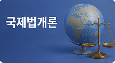 국제법개론